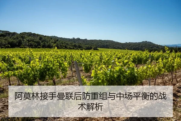 阿莫林接手曼联后防重组与中场平衡的战术解析